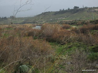 lle del Simeto-24-02-2013 09-57-38